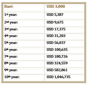 The Chart Your Investment with Compound Interest in A Year