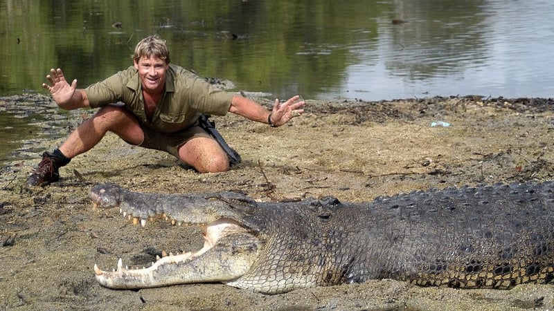 Steve Erwin, The Crocodile Hunter