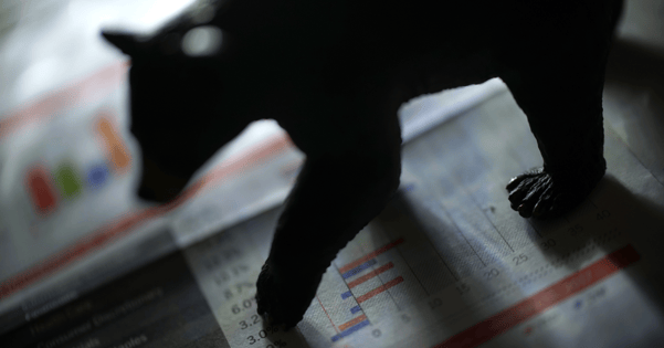 The Latest Rally In Stocks Is Just Bear Rally, And It Is Not Going To Sustain