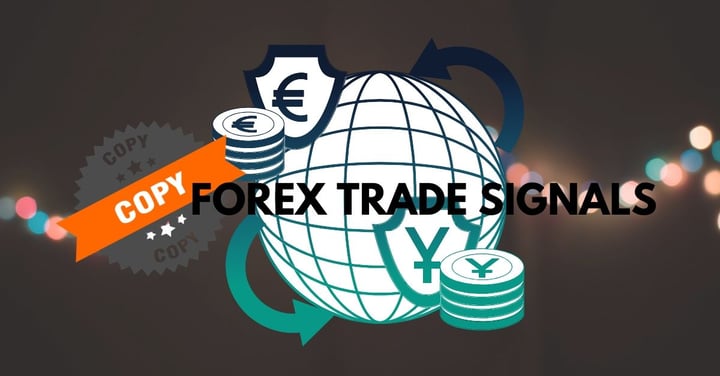 Top 3 Features of the Best Copy Trading Platform for You