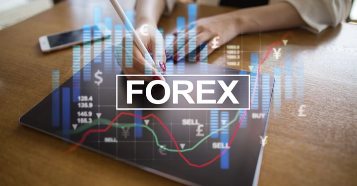 What is a Lot in Forex Trading?
